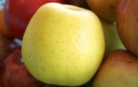 Golden Delicious Apples